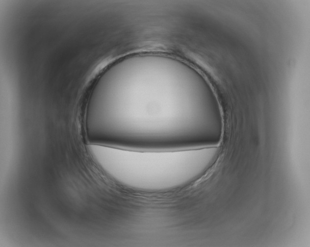 X0000113331455200909140957