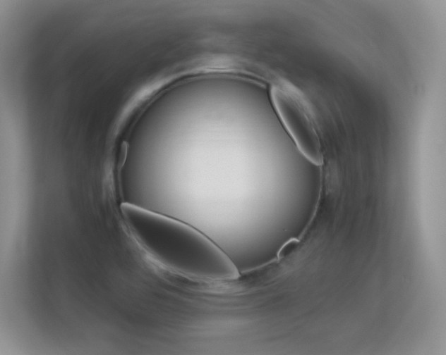 X0000113331464200909140957