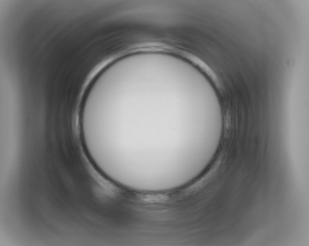 X0000113331466200909140957