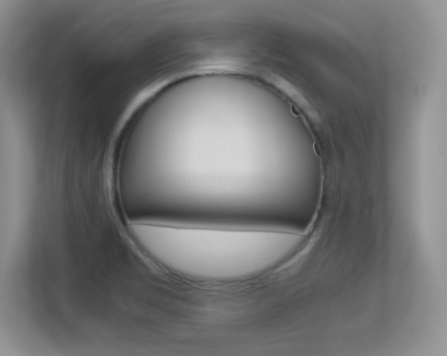 X0000113331469200909140957