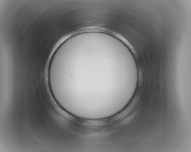 X0000113331474200909140957