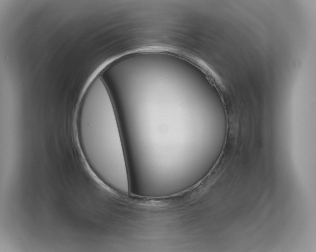 X0000113331476200909140957