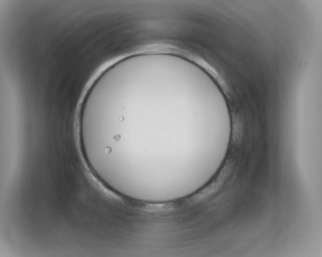 X0000113331478200909140957