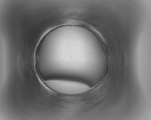 X0000113331479200909140957