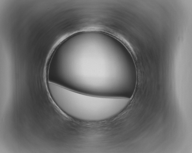 X0000113331480200909140957
