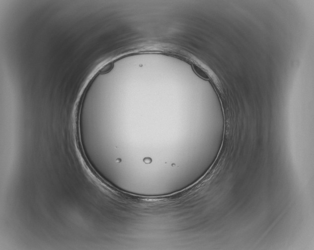 X0000113331483200909140957