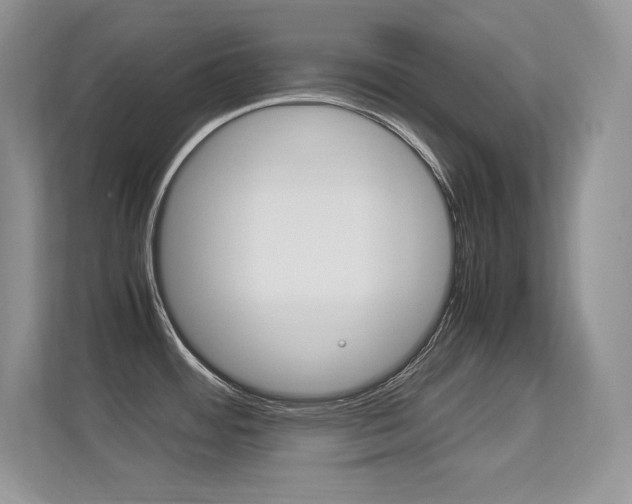 X0000113331484200909140957