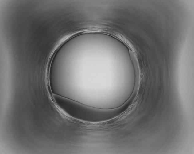X0000113331485200909140957