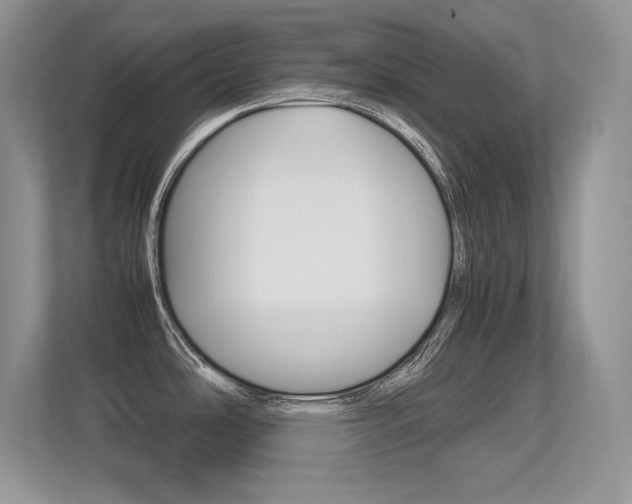 X0000113331486200909140957