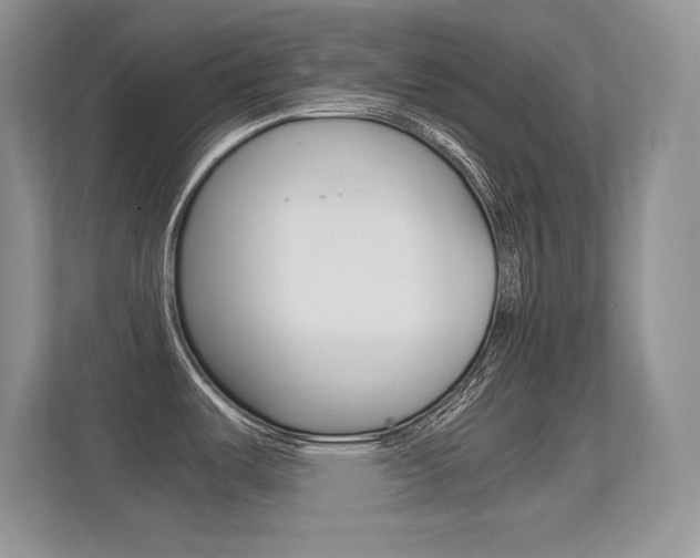 X0000113331487200909140957