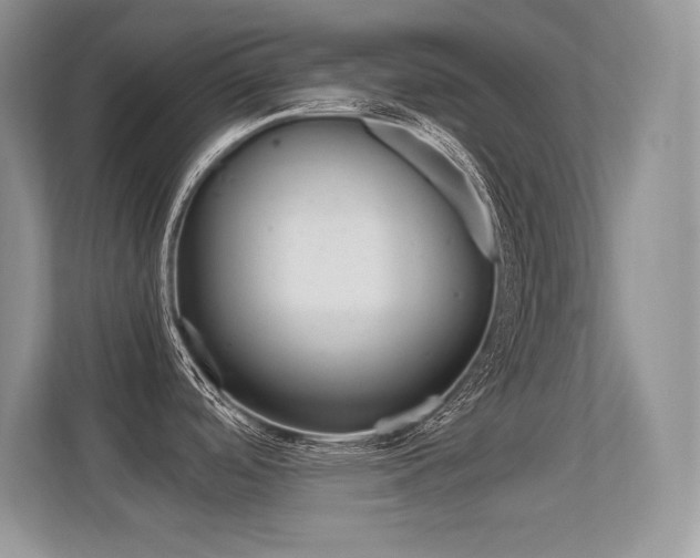 X0000113331488200909140957