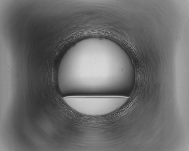 X0000113331490200909140956