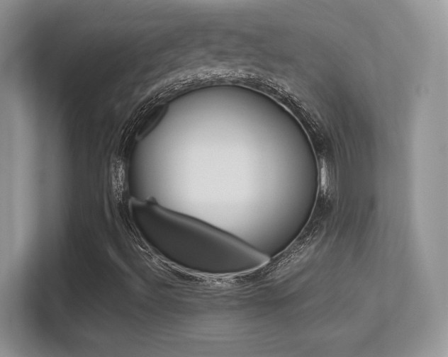 X0000113331492200909140956