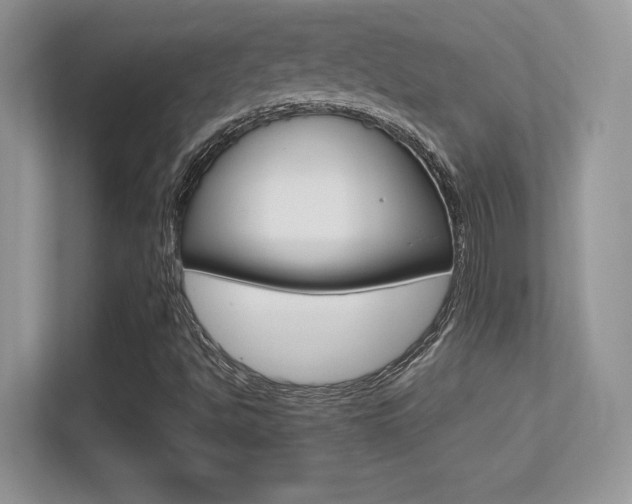 X0000113331494200909140956