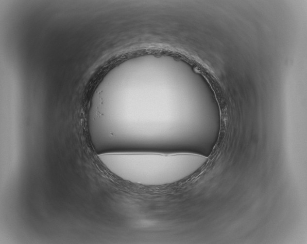 X0000113331495200909140956