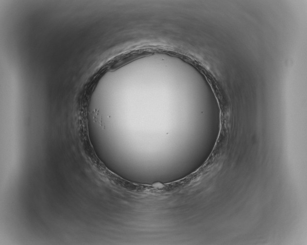 X0000113331496200909140956