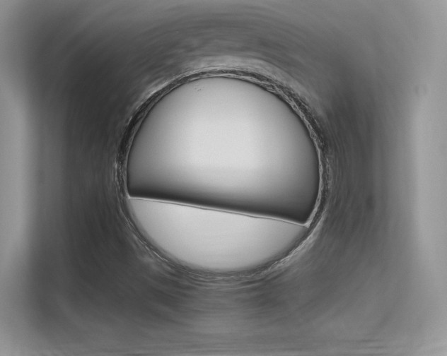 X0000113331497200909140956