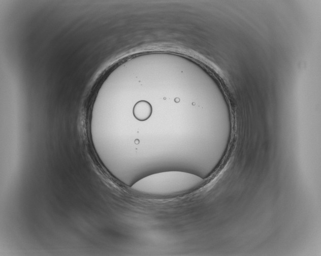 X0000113331498200909140956