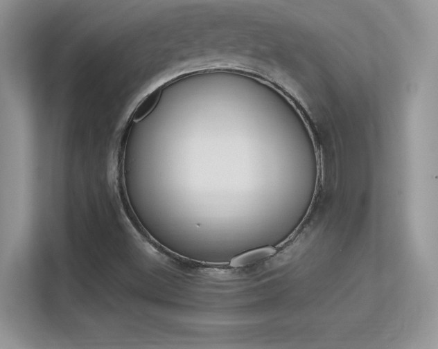 X0000113331500200909140956