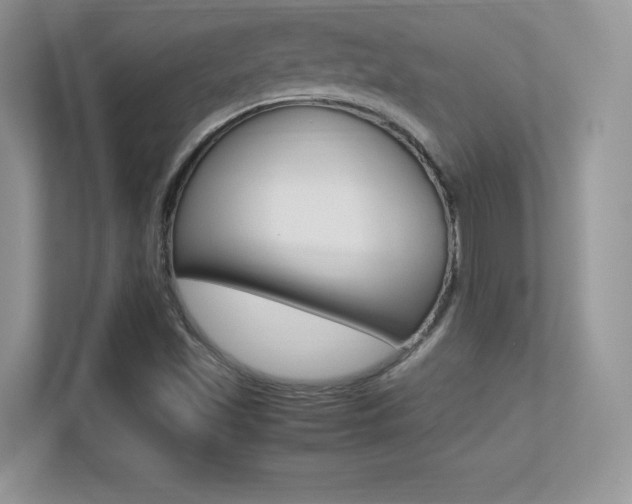 X0000113331501200909140956