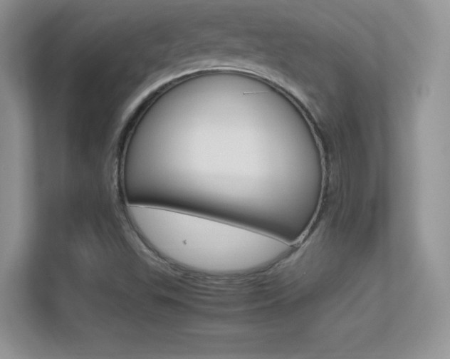 X0000113331503200909140956