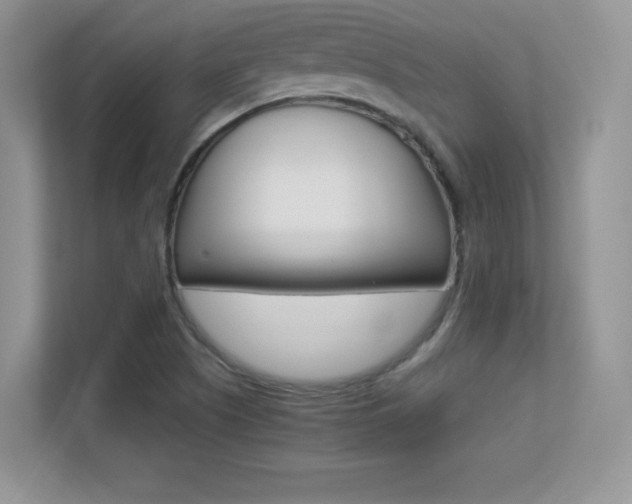 X0000113331505200909140956