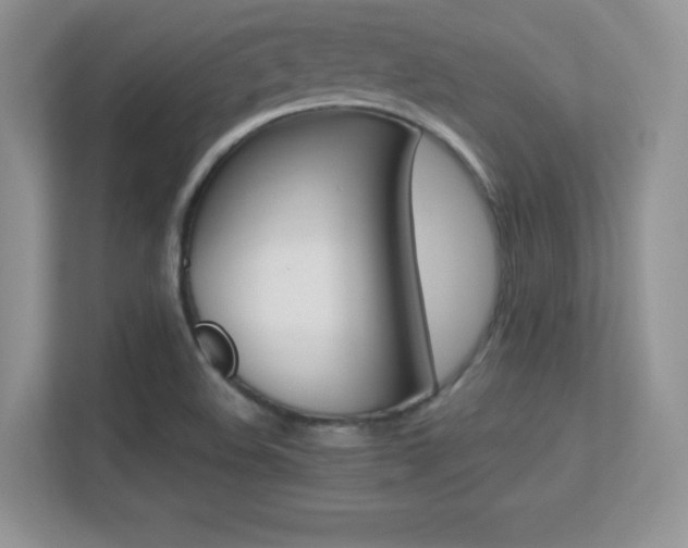 X0000113331508200909140957
