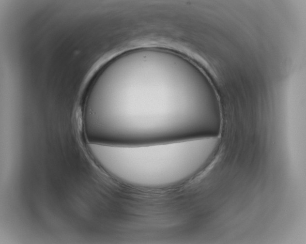 X0000113331509200909140957