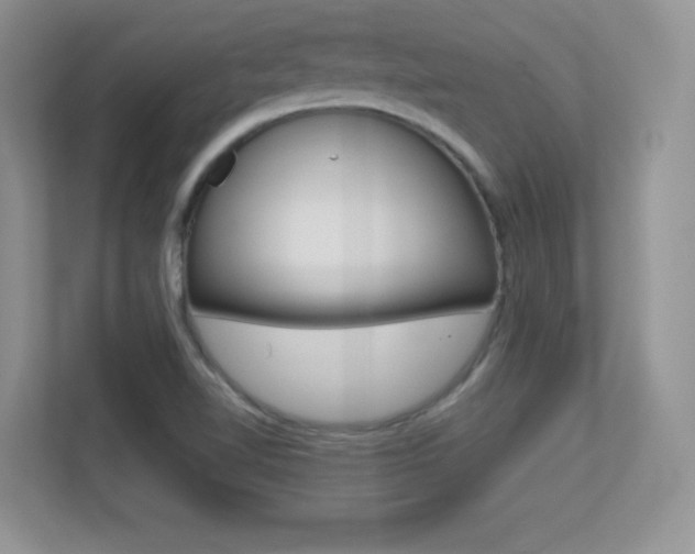 X0000113331510200909140957