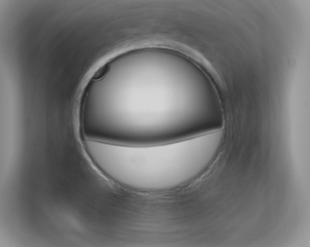 X0000113331512200909140957