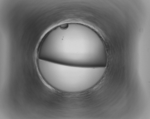 X0000113331519200909140957