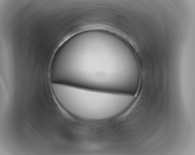X0000113331521200909140957