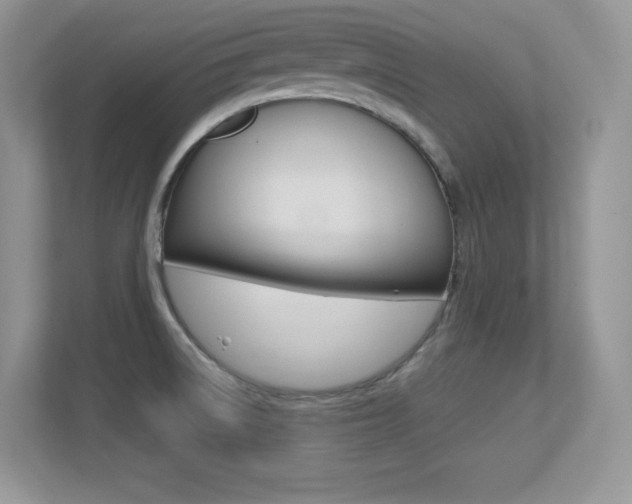 X0000113331522200909140957