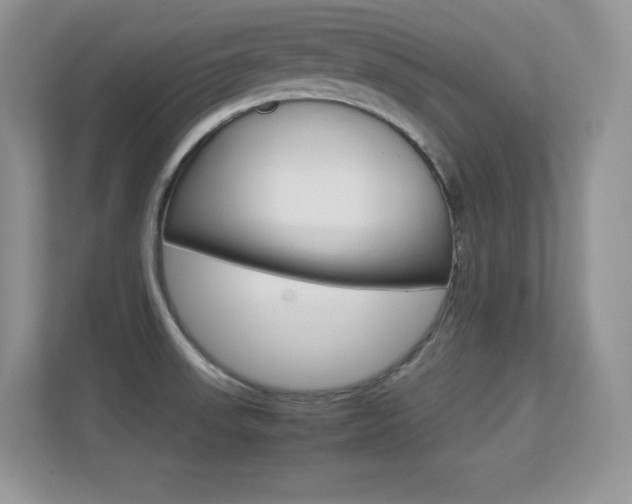 X0000113331523200909140957