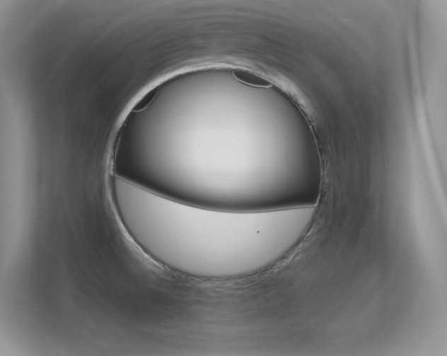 X0000113331524200909140957