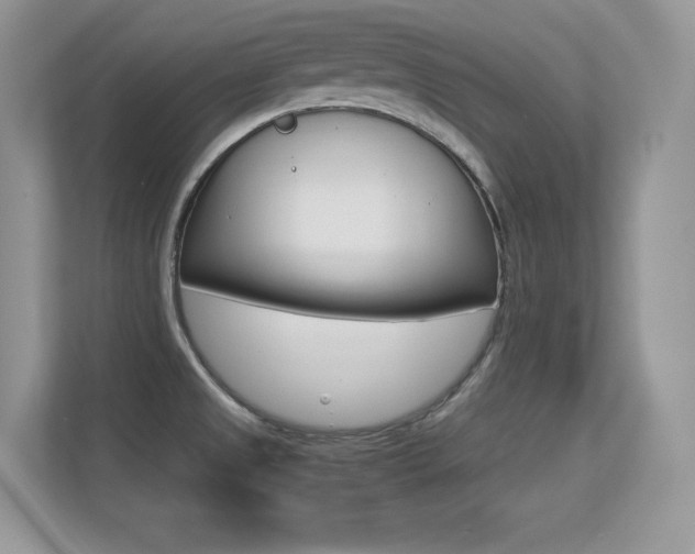 X0000113331525200909140957