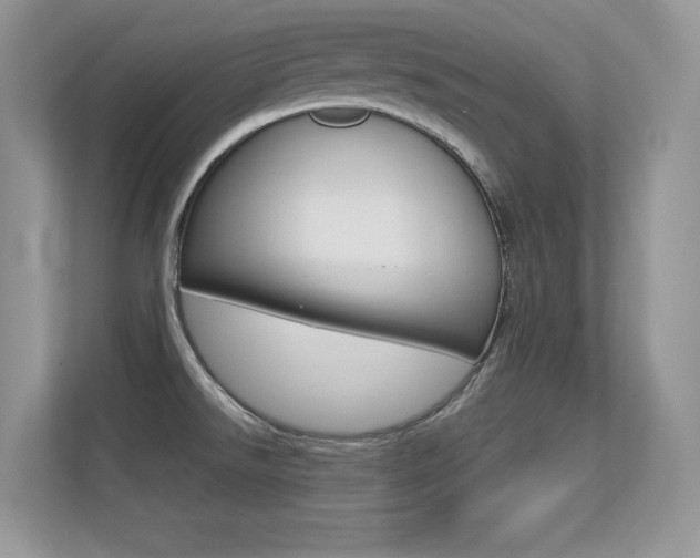 X0000113331526200909140957