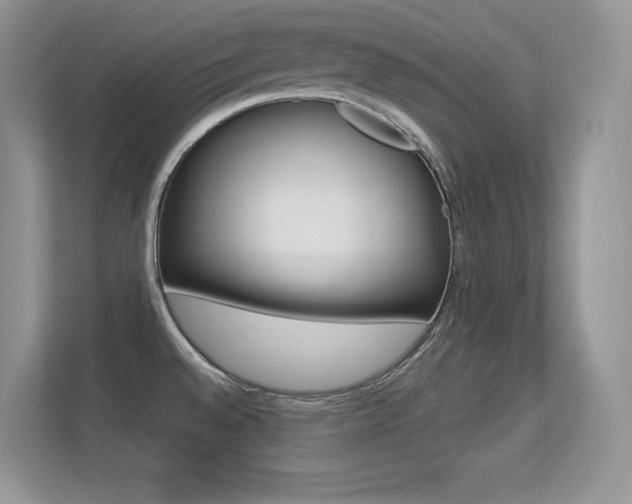 X0000113331528200909140957