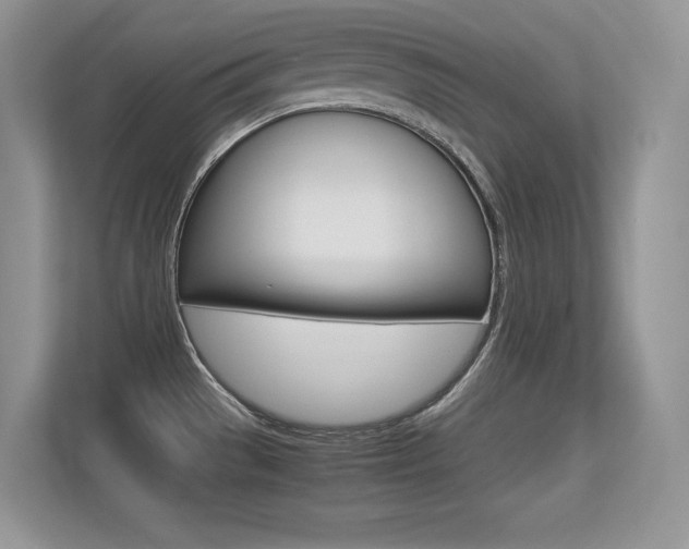 X0000113331529200909140957