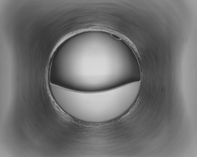 X0000113331530200909140957