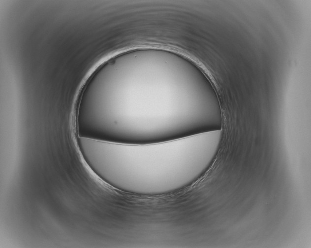 X0000113331531200909140957