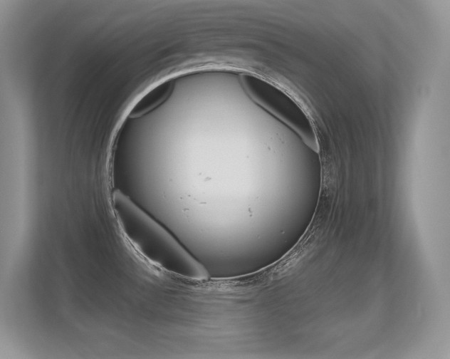 X0000113331532200909140957