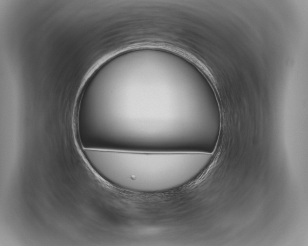 X0000113331533200909140957