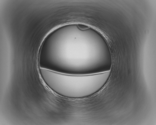 X0000113331534200909140957
