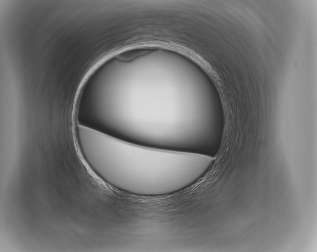 X0000113331536200909140957
