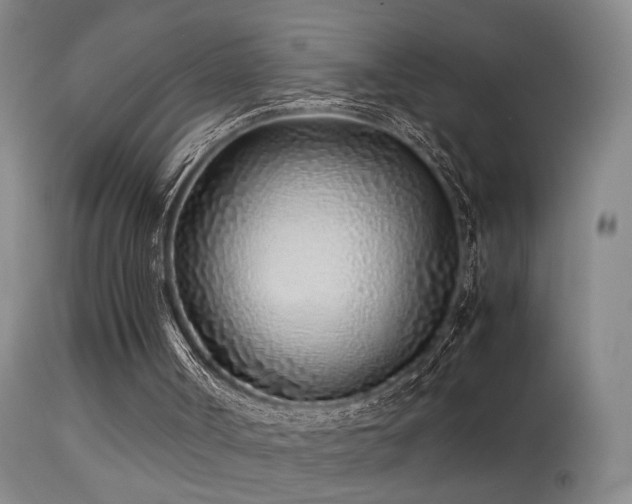 X0000113330002200909141438
