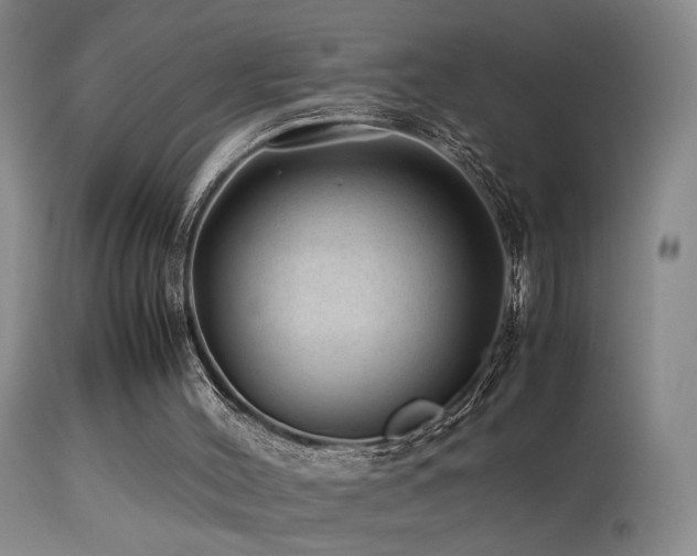 X0000113330004200909141438