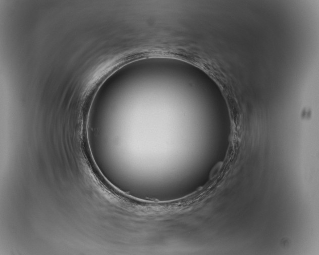 X0000113330005200909141438