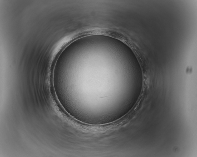 X0000113330006200909141438
