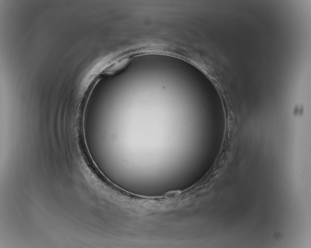 X0000113330007200909141438